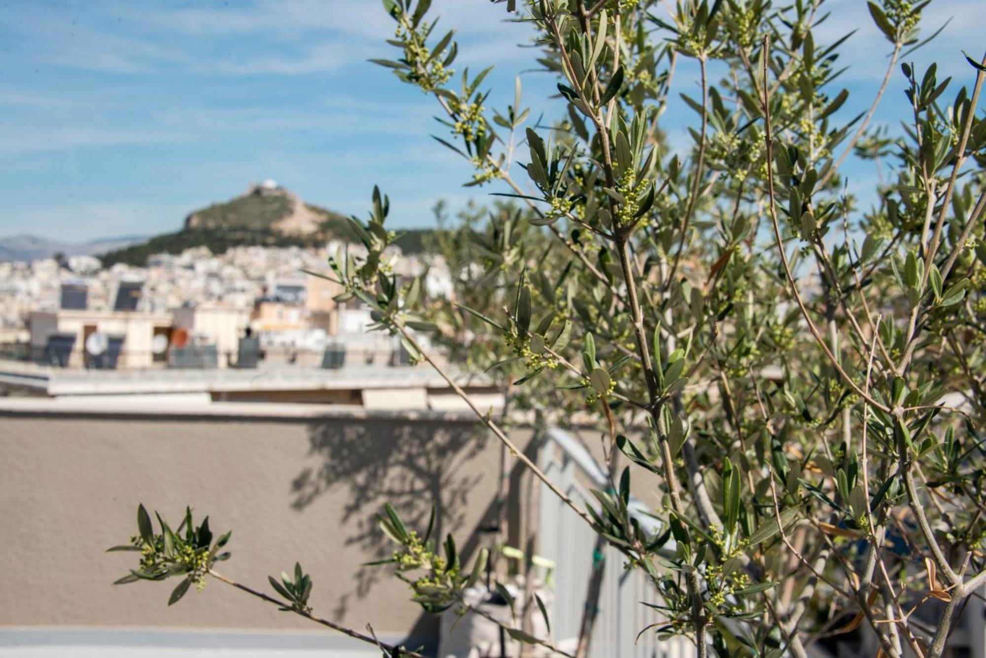 The Athenian Oasis Apartment Ngoại thất bức ảnh